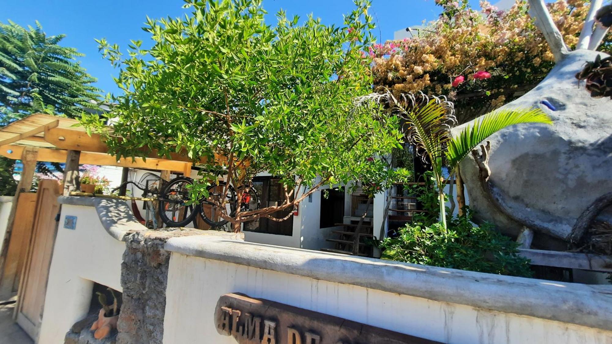 Alma De Cedrela Apartment Puerto Ayora  Bagian luar foto